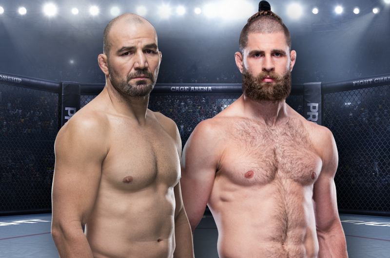 ufc glover teixeira jiri prochazka